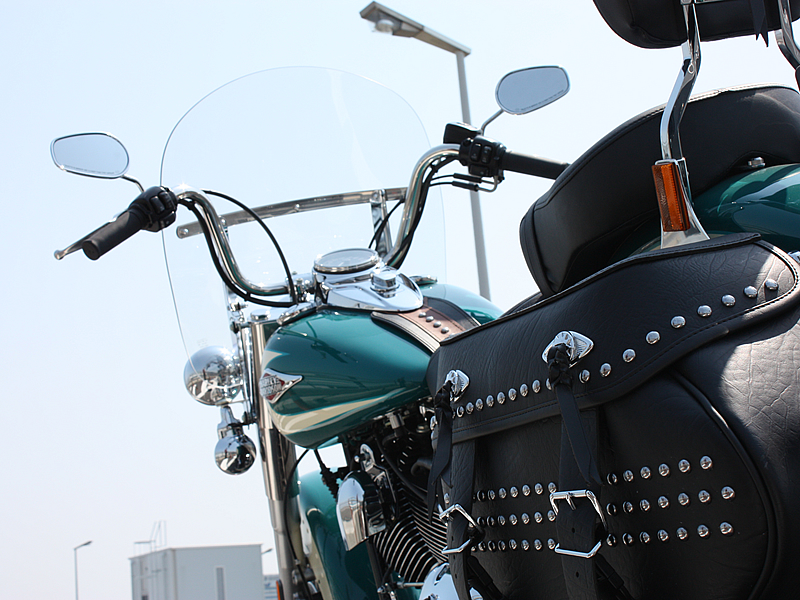 俺の大切な相棒。またロングを計画しようか。